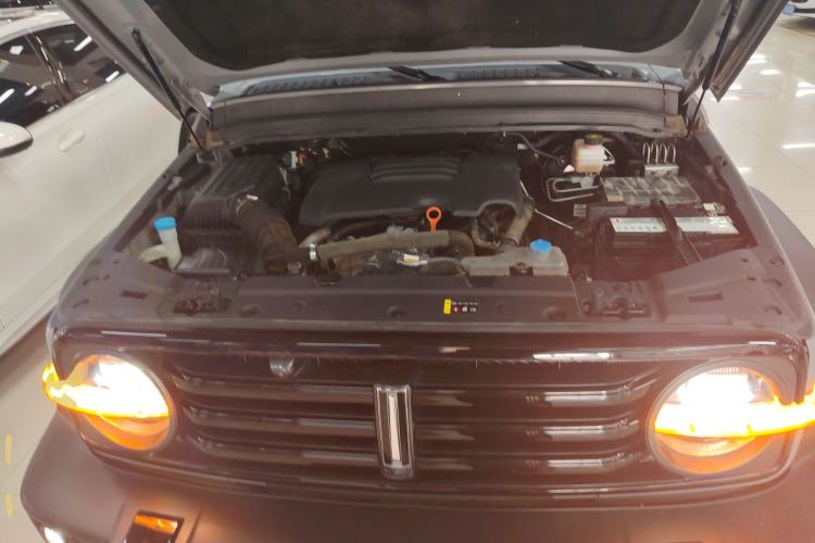 Used Tank 300 2021 Off-Road Edition 2.0T Conqueror Engine Bay