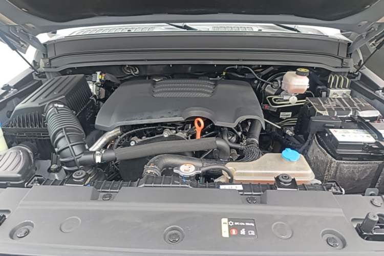 Used Tank 300 2021 City Edition 2.0T—Truly Stylish Engine Bay
