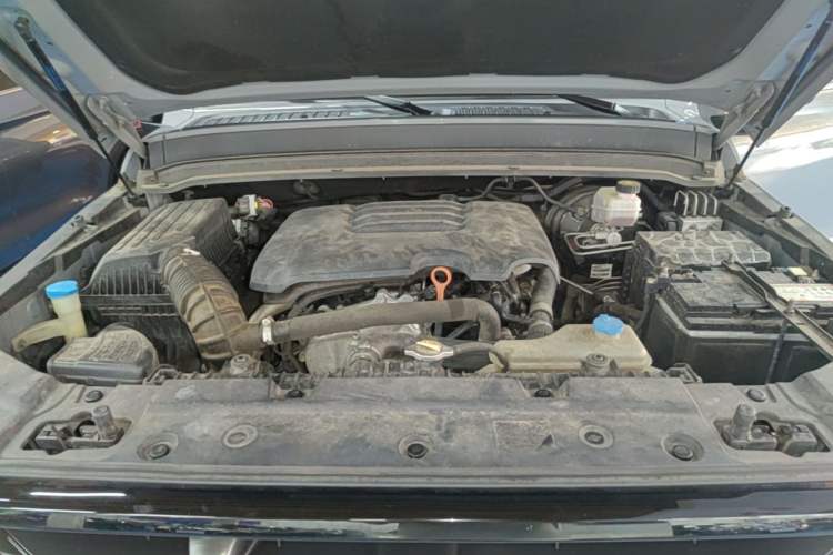 Used Tank 300 2021 Off-Road Edition 2.0T Conqueror Engine Bay