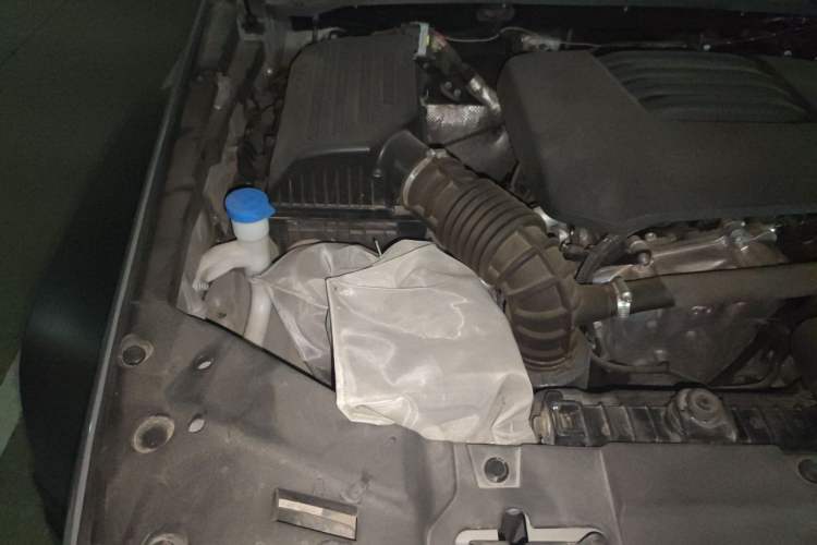 Used Tank 300 2021 Off-Road Edition 2.0T Conqueror Engine Bay Right
