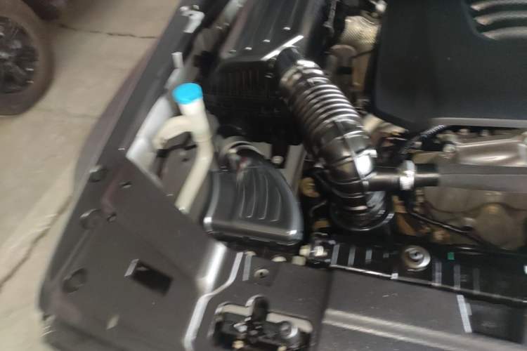 Used Tank 300 2021 Off-Road Edition 2.0T Challenger Engine Bay Right