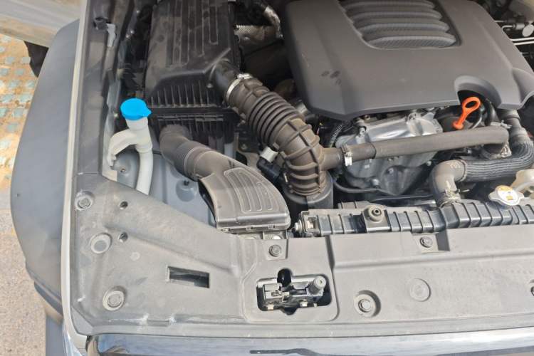 Used Tank 300 2021 Off-Road Edition 2.0T Conqueror Engine Bay Right