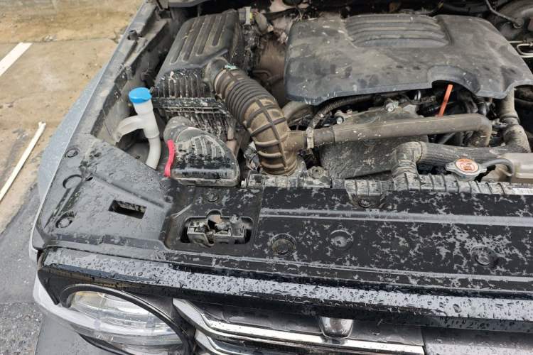 Used Tank 300 2021 City Edition 2.0T—Truly Stylish Engine Bay Right