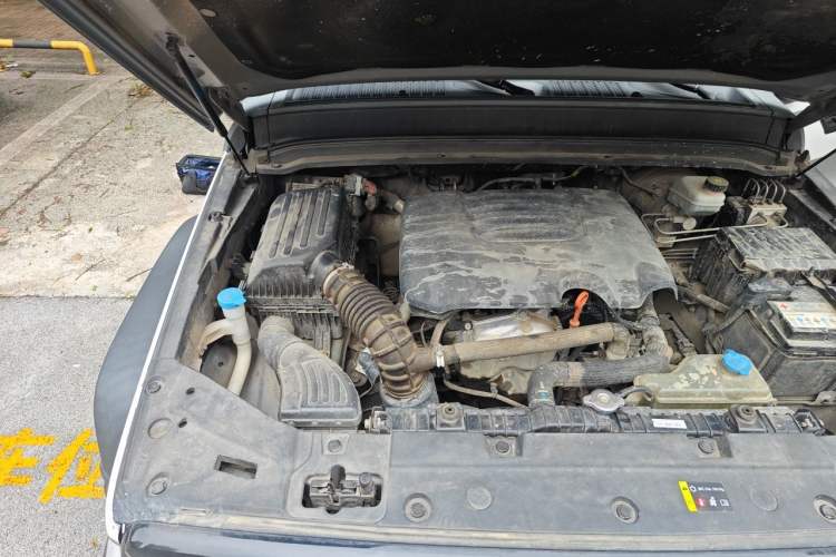 Used Tank 300 2021 Off-Road Edition 2.0T Conqueror Engine Bay Right