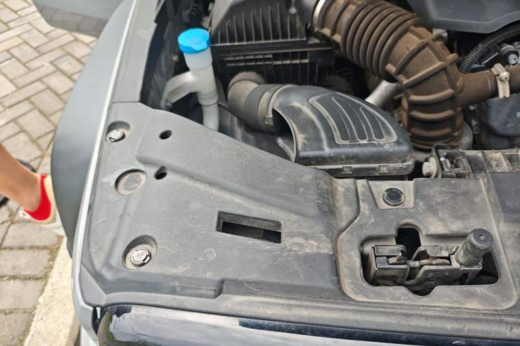 Used Tank 300 2021 Off-Road Edition 2.0T Conqueror Engine Bay Right