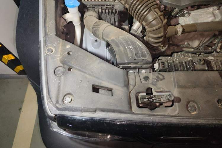 Used Tank 300 2021 Off-Road Edition 2.0T Conqueror Engine Bay Right