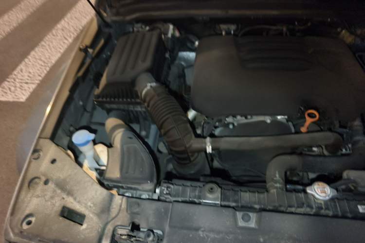 Used Tank 300 2021 City Edition 2.0T—Truly Stylish Engine Bay Right