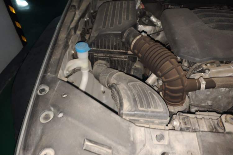 Used Tank 300 2021 Off-Road Edition 2.0T Conqueror Engine Bay Right