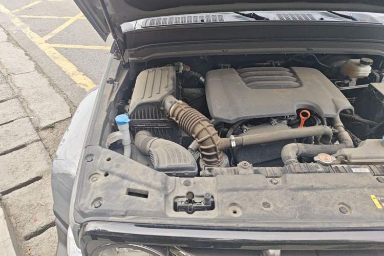 Used Tank 300 2021 City Edition 2.0T—Truly Stylish Engine Bay Right