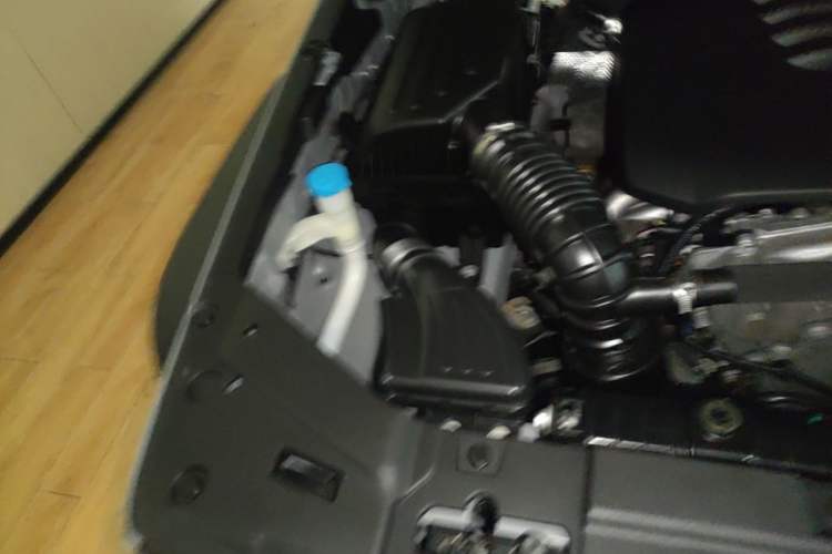 Used Tank 300 2021 Off-Road Edition 2.0T Conqueror Engine Bay Right