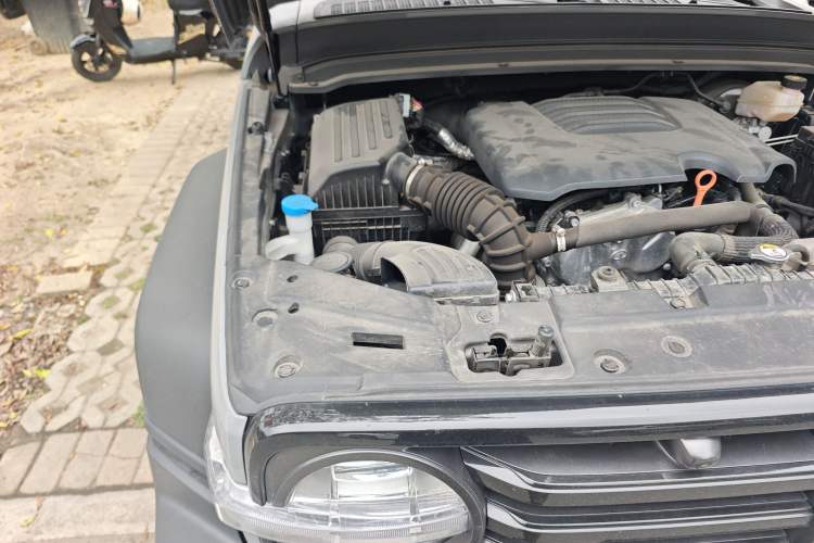 Used Tank 300 2021 Off-Road Edition 2.0T Conqueror Engine Bay Right