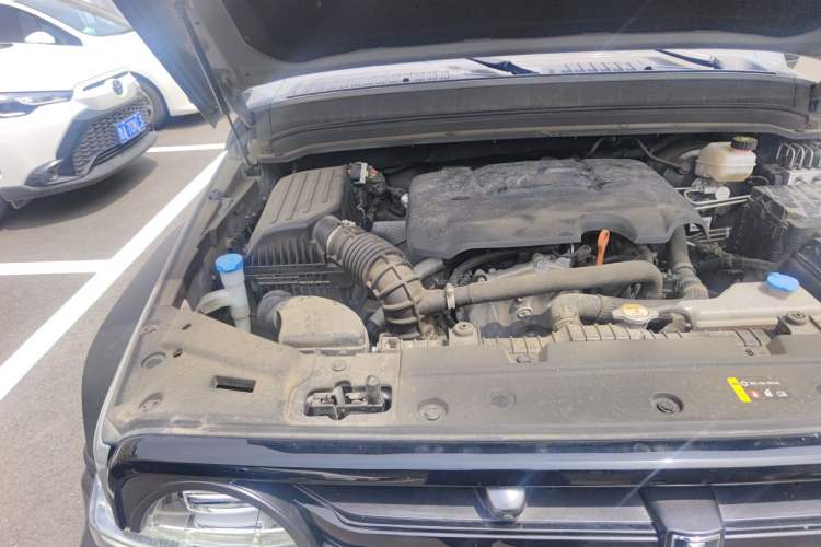 Used Tank 300 2021 Off-Road Edition 2.0T Challenger Engine Bay Right