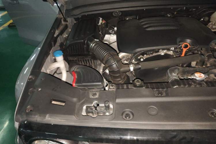Used Tank 300 2021 City Edition 2.0T—Truly Stylish Engine Bay Right