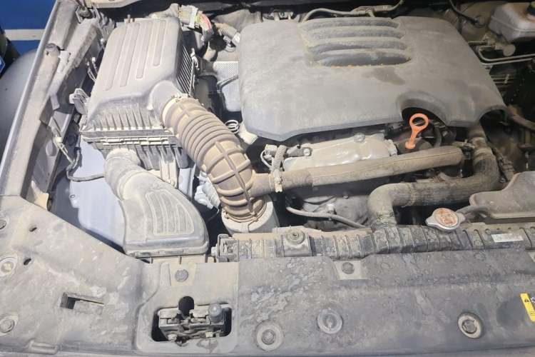 Used Tank 300 2021 2.0T Wind & Forest Iron Rider Engine Bay Right