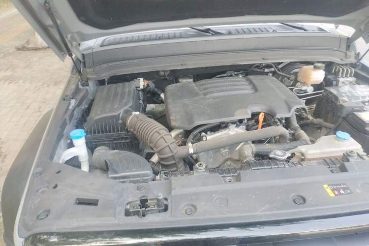Used Tank 300 2021 Off-Road Edition 2.0T Conqueror Engine Bay Right