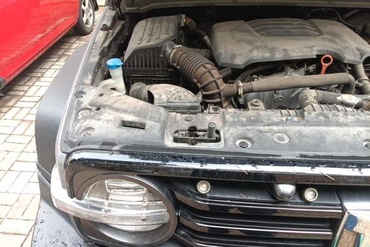 Used Tank 300 2021 Off-Road Edition 2.0T Conqueror Engine Bay Right