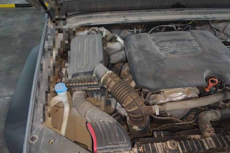 Used Tank 300 2021 Off-Road Edition 2.0T Conqueror Engine Bay Right