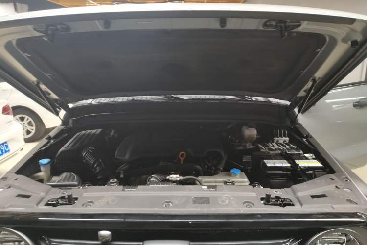 Used Tank 300 2021 Off-Road Edition 2.0T Conqueror Engine Bay