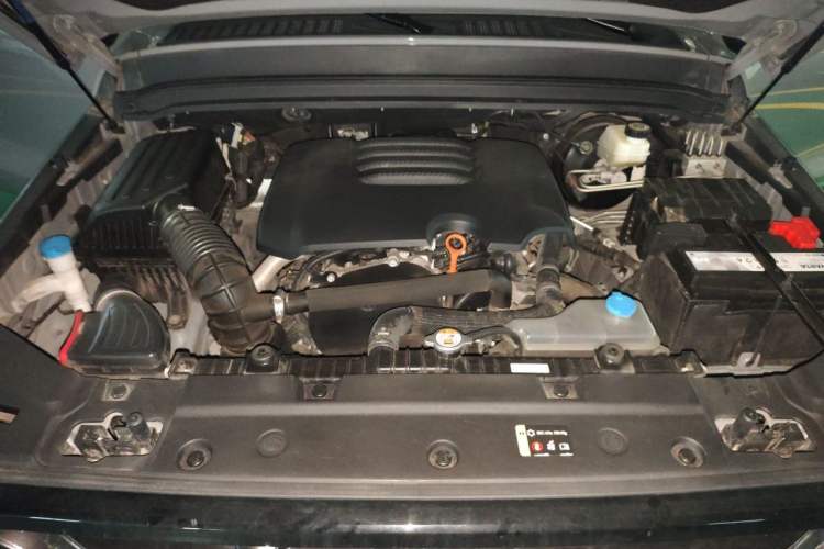 Used Tank 300 2021 City Edition 2.0T—Truly Stylish Engine Bay