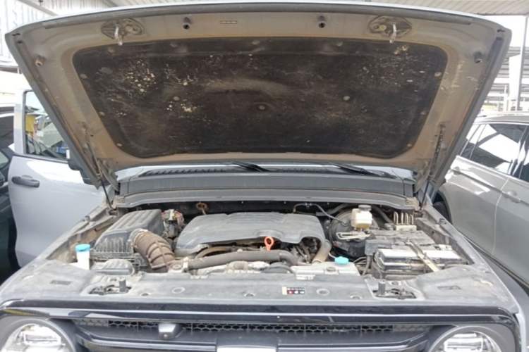 Used Tank 300 2021 Off-Road Edition 2.0T Conqueror Engine Bay