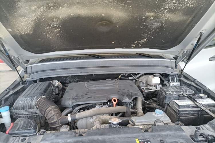 Used Tank 300 2021 Off-Road Edition 2.0T Challenger Engine Bay
