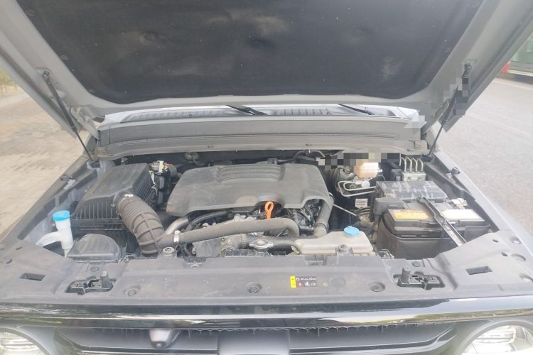 Used Tank 300 2021 Off-Road Edition 2.0T Conqueror Engine Bay