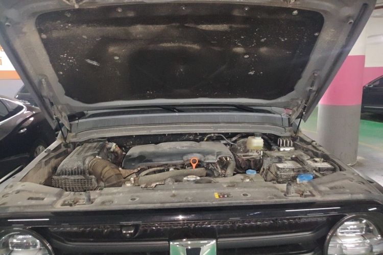 Used Tank 300 2021 2.0T Tank Ranger Engine Bay