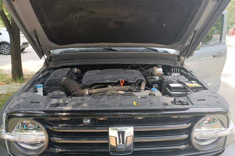 Used Tank 300 2021 Off-Road Edition 2.0T Conqueror Engine Bay