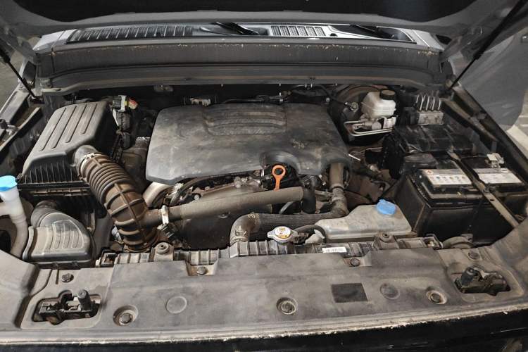 Used Tank 300 2021 City Edition 2.0T—Truly Stylish Engine Bay
