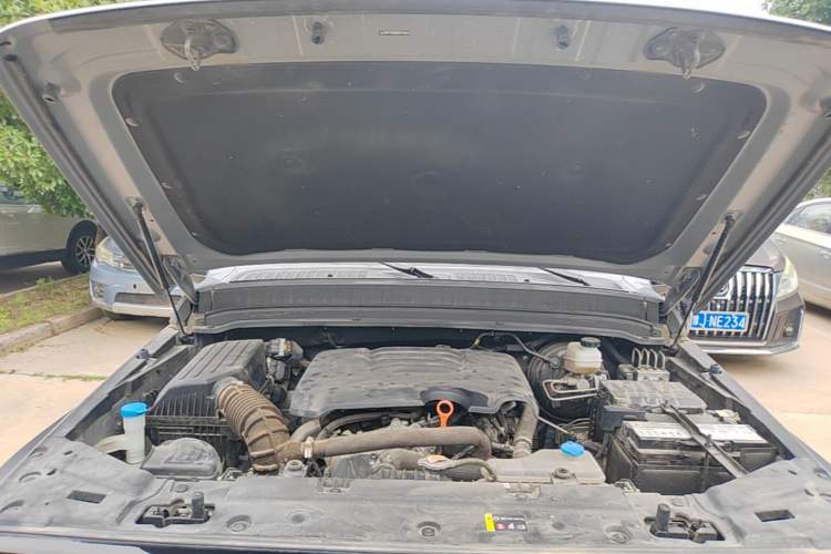 Used Tank 300 2021 Off-Road Edition 2.0T Conqueror Engine Bay