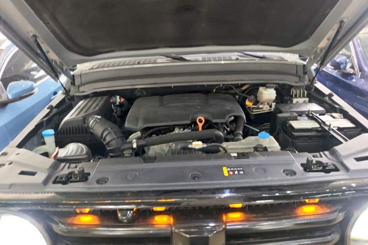 Used Tank 300 2021 Off-Road Edition 2.0T Conqueror Engine Bay