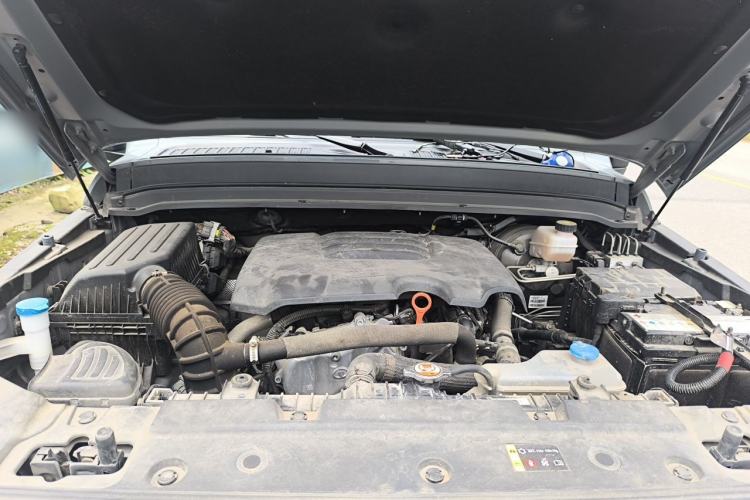 Used Tank 300 2021 Off-Road Edition 2.0T Conqueror Engine Bay