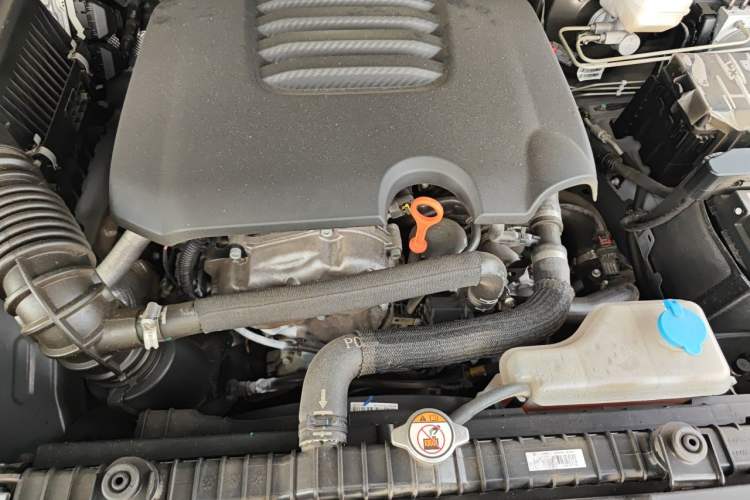 Used Tank 300 2021 Off-Road Edition 2.0T Conqueror Engine Bay