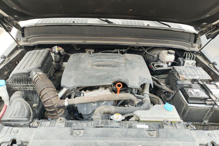 Used Tank 300 2021 Off-Road Edition 2.0T Conqueror Engine Bay