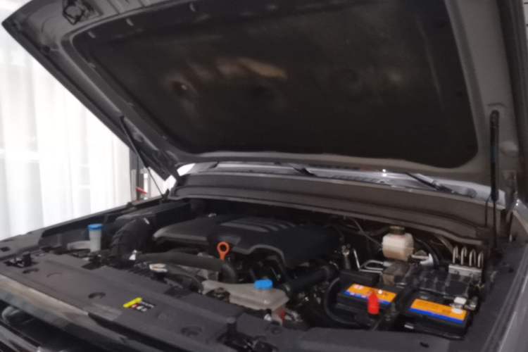 Used Tank 300 2021 Off-Road Edition 2.0T Challenger Engine Bay