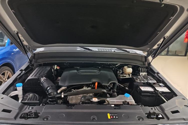 Used Tank 300 2021 Off-Road Edition 2.0T Conqueror Engine Bay