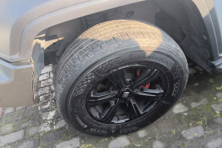Used Tank 300 2021 Off-Road Edition 2.0T Challenger Exterior 3