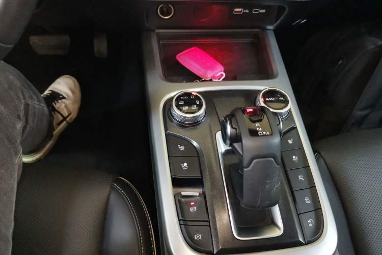 Used Tank 300 2021 City Edition 2.0T—Truly Stylish Gear Lever