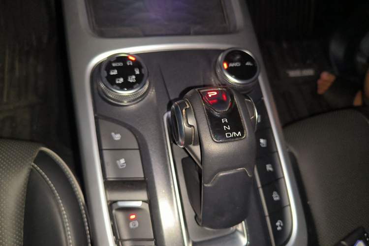 Used Tank 300 2021 City Edition 2.0T—Truly Stylish Gear Lever