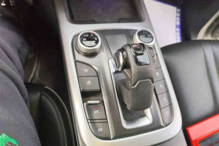 Used Tank 300 2021 City Edition 2.0T—Truly Stylish Gear Lever