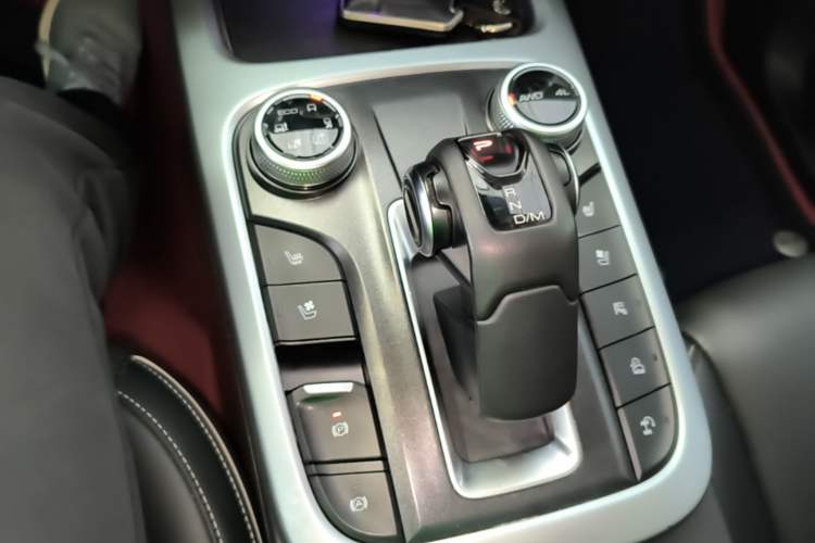 Used Tank 300 2021 City Edition 2.0T—Truly Stylish Gear Lever