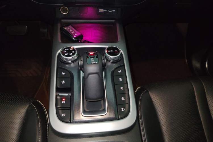Used Tank 300 2021 City Edition 2.0T—Truly Stylish Gear Lever