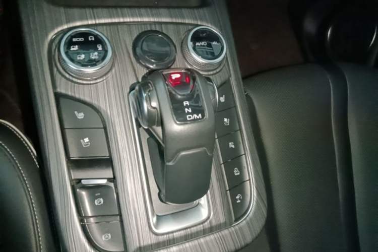 Used Tank 300 2021 City Edition 2.0T—Truly Stylish Gear Lever
