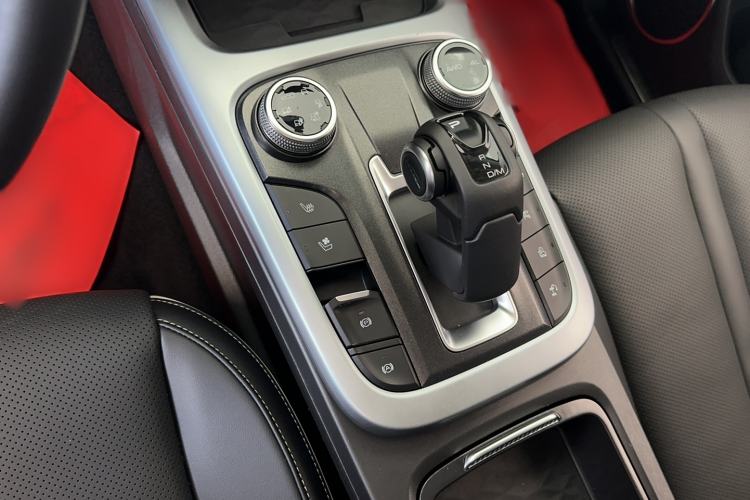 Used Tank 300 2021 City Edition 2.0T—Truly Stylish Gear Lever