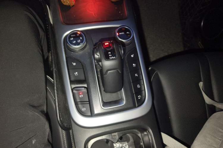 Used Tank 300 2021 City Edition 2.0T—Truly Stylish Gear Lever