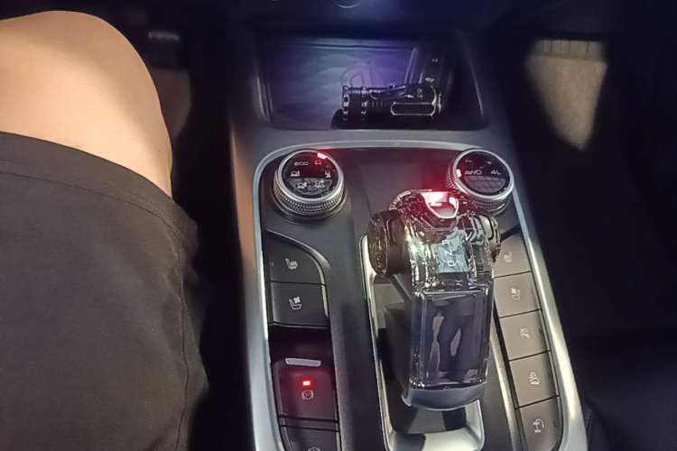 Used Tank 300 2021 City Edition 2.0T—Truly Stylish Gear Lever