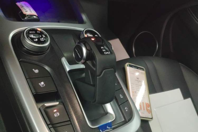 Used Tank 300 2021 City Edition 2.0T—Truly Stylish Gear Lever