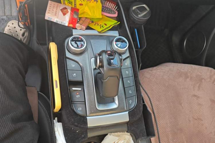 Used Tank 300 2021 City Edition 2.0T—Truly Stylish Gear Lever