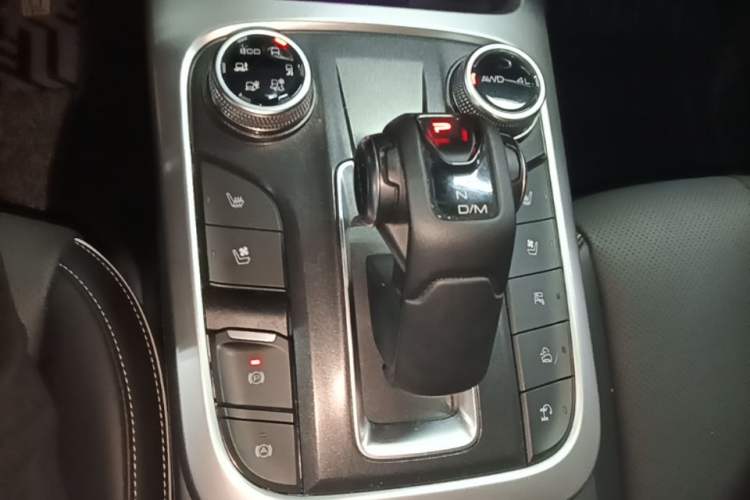 Used Tank 300 2021 City Edition 2.0T—Truly Stylish Gear Lever