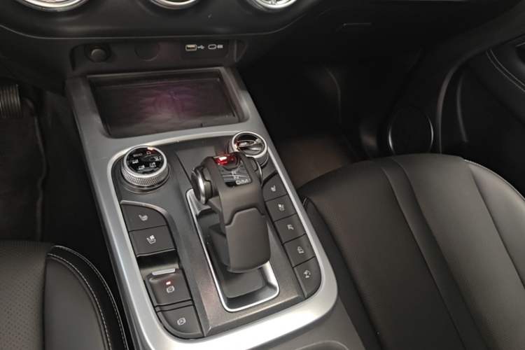 Used Tank 300 2021 City Edition 2.0T—Truly Stylish Gear Lever
